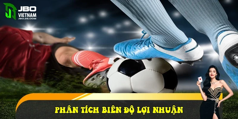 Phân tích biên độ lợi nhuận